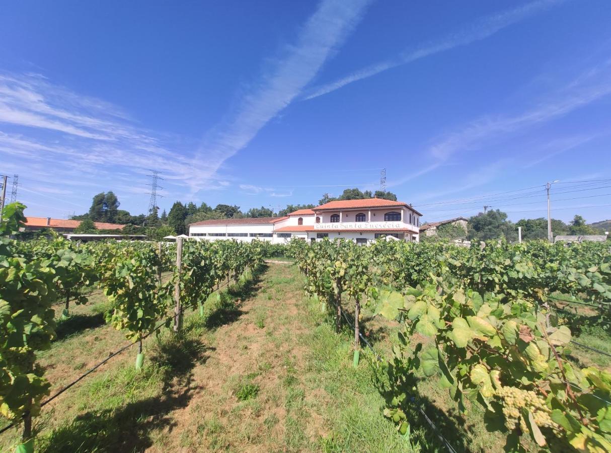 Quinta Santa Lucrecia Villa Braga Eksteriør bilde